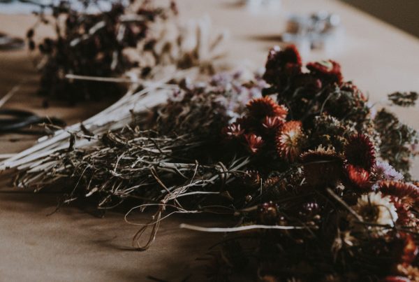 Flores Secas